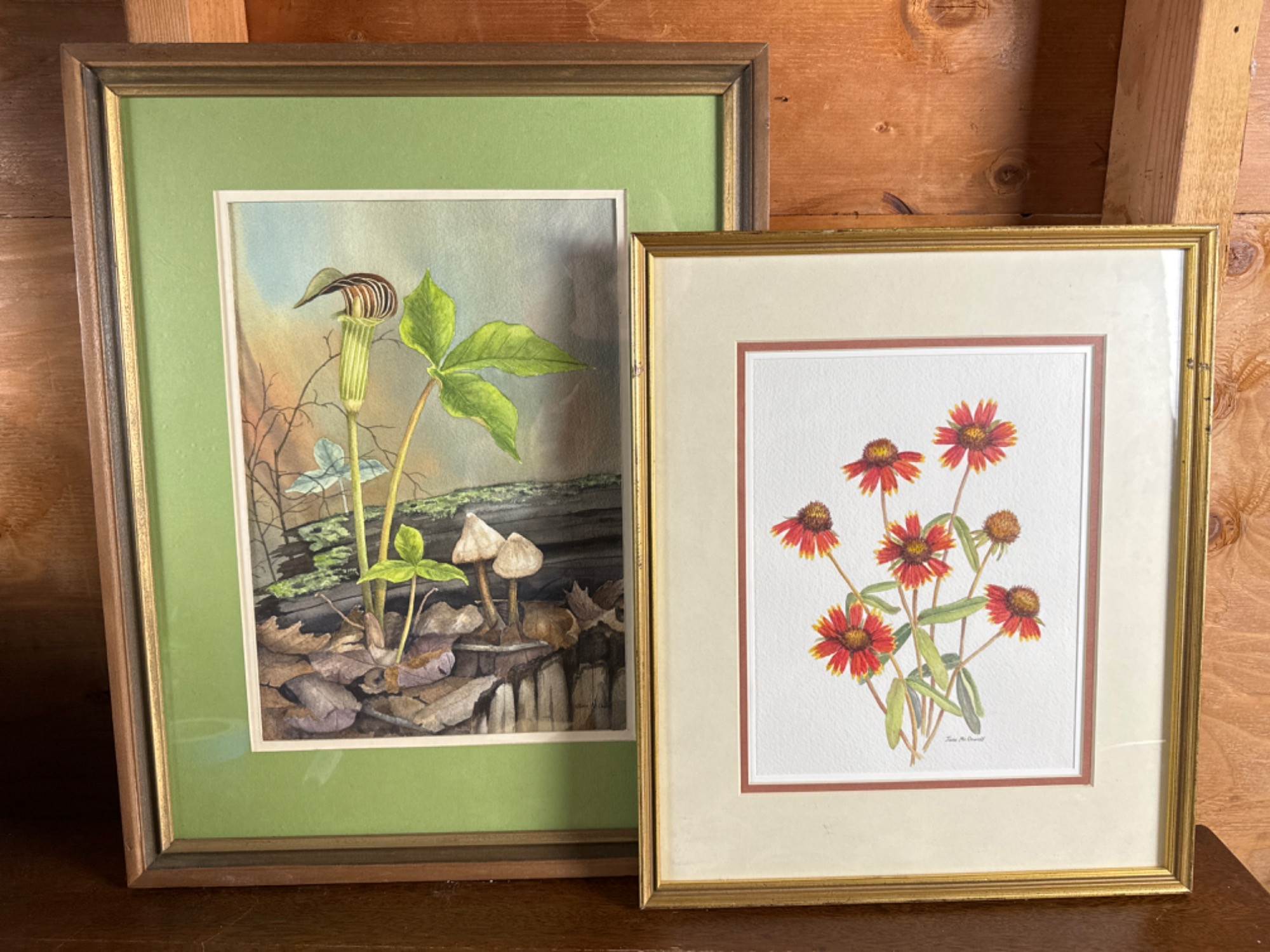 Placeholder