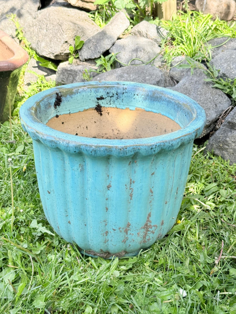 Placeholder