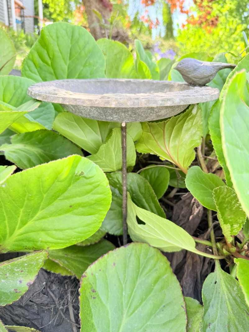 Placeholder