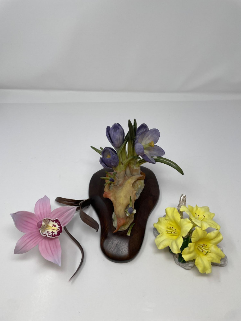 Placeholder