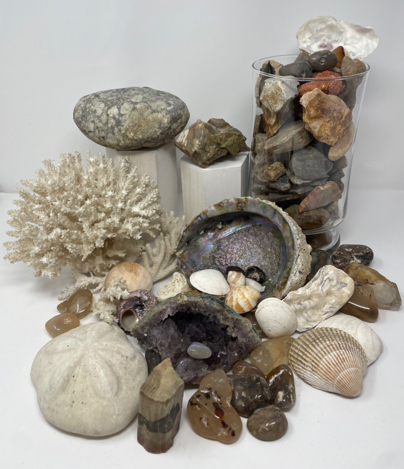 Placeholder