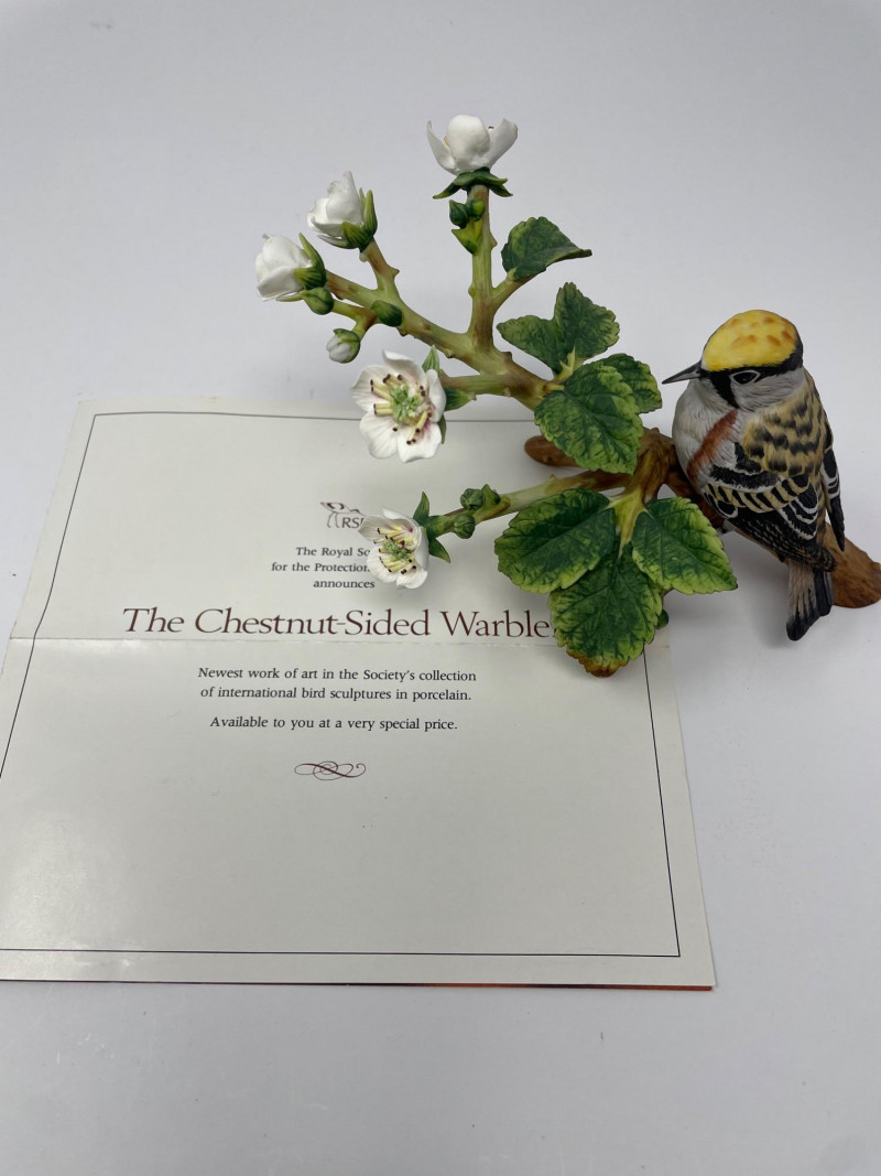 Placeholder