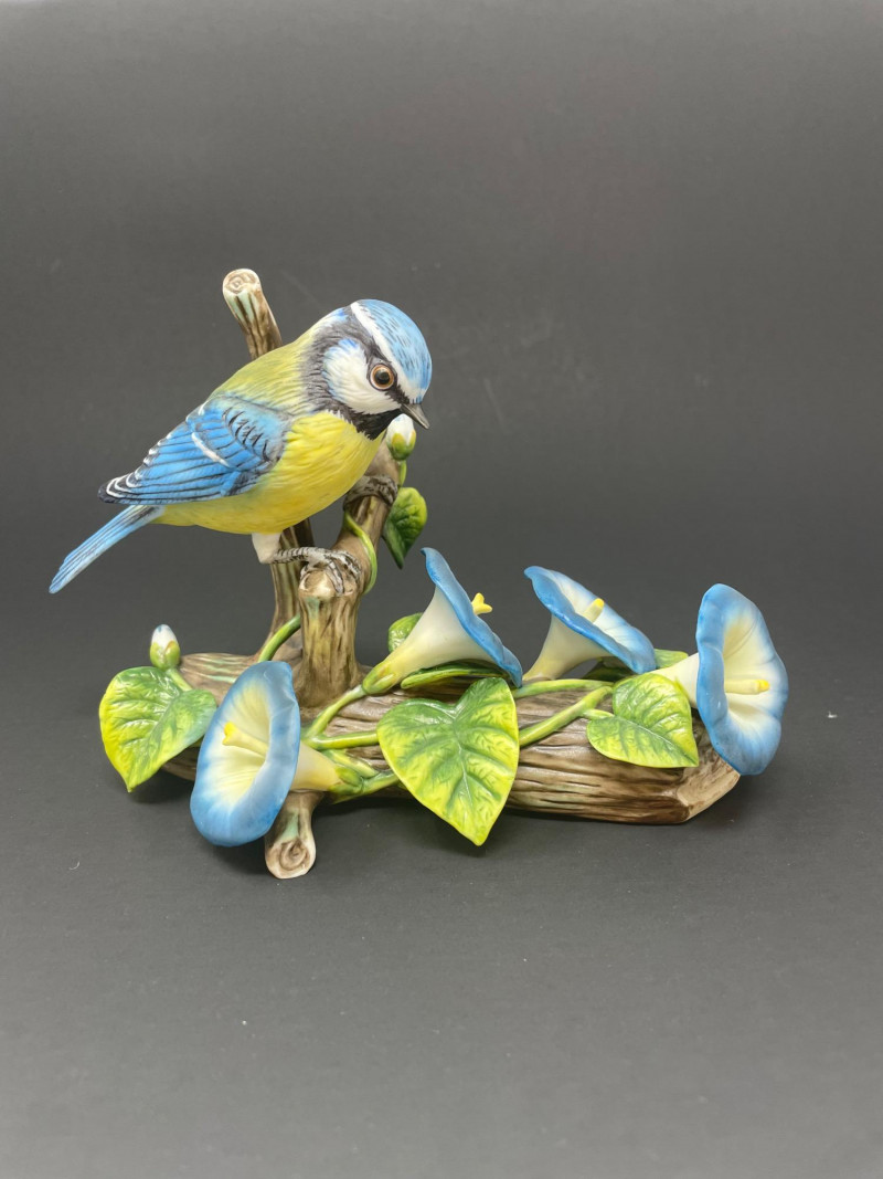 Placeholder