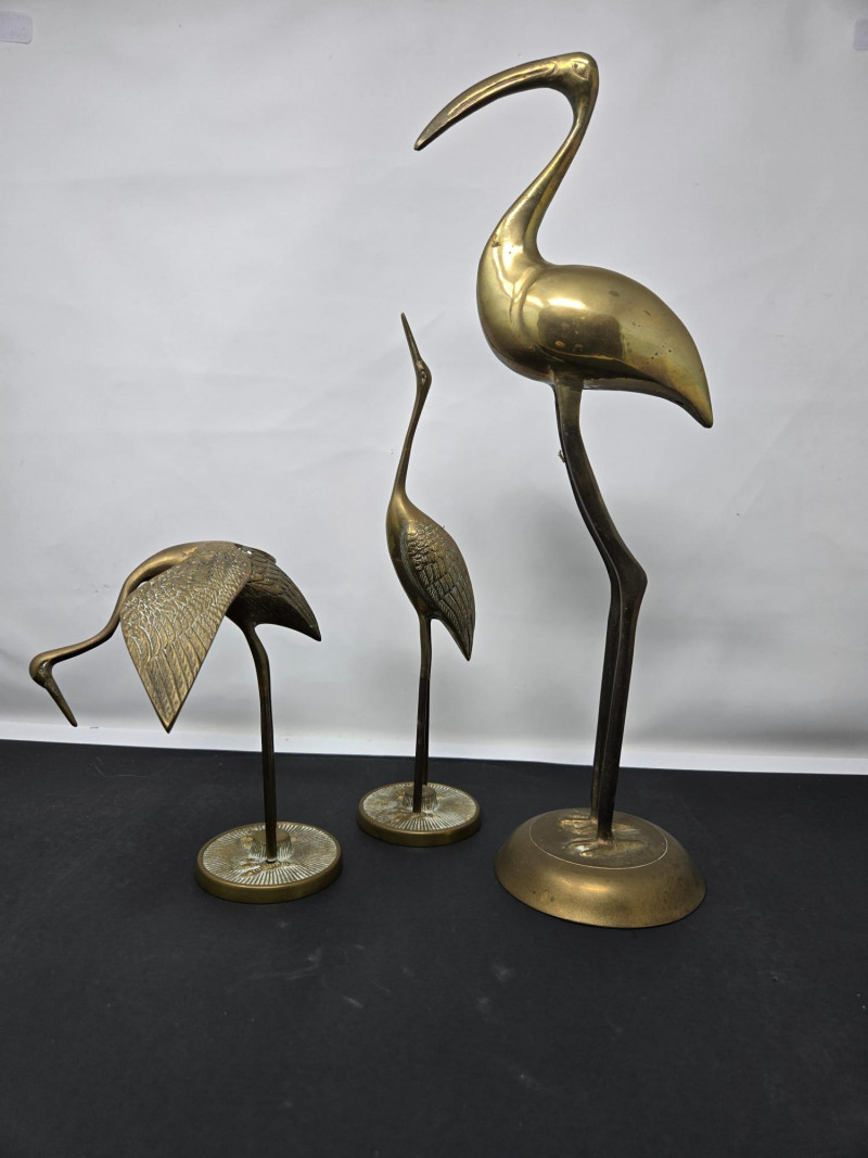 Placeholder