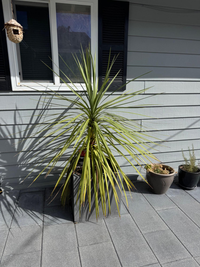 Placeholder