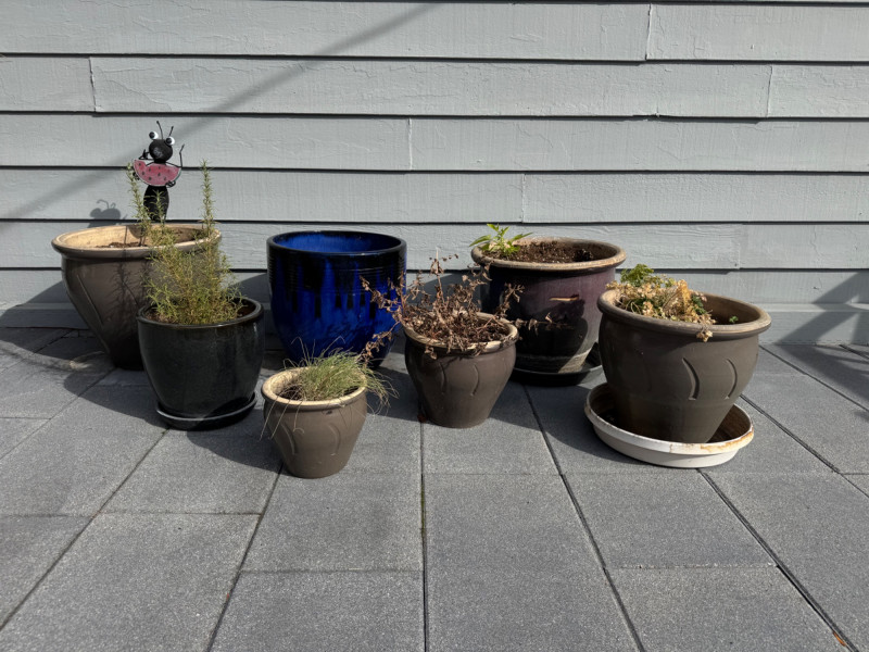 Placeholder