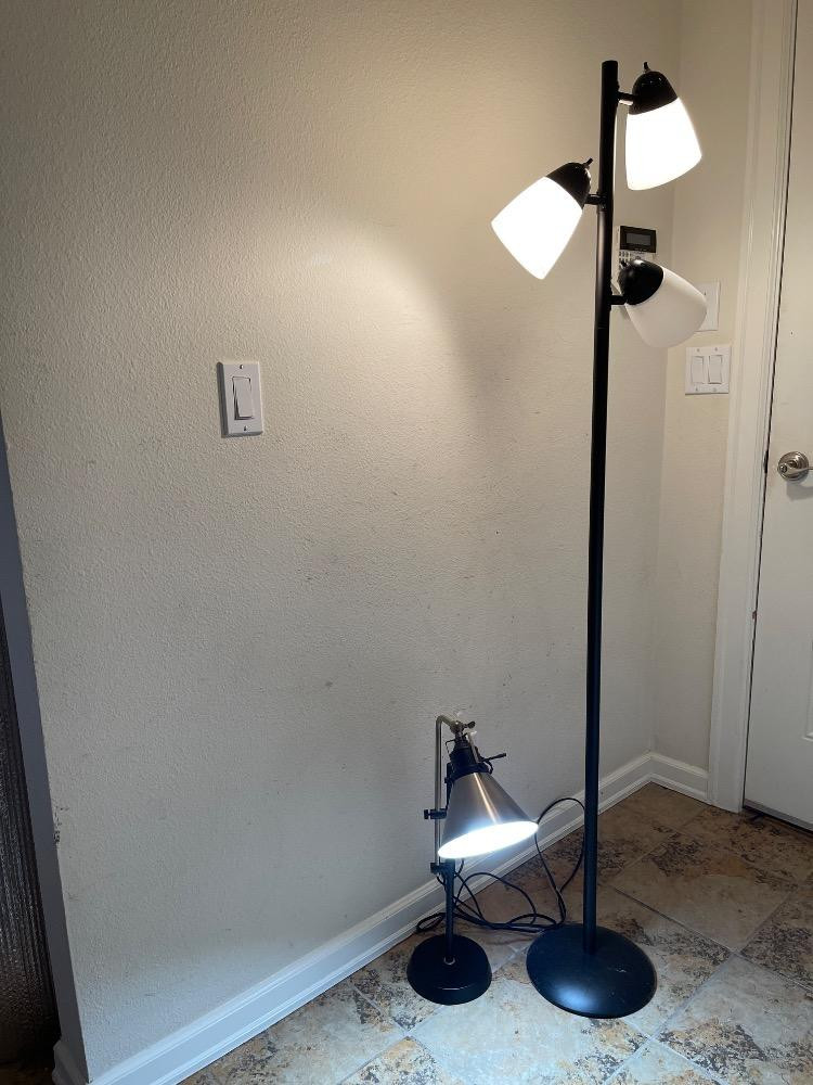 Placeholder