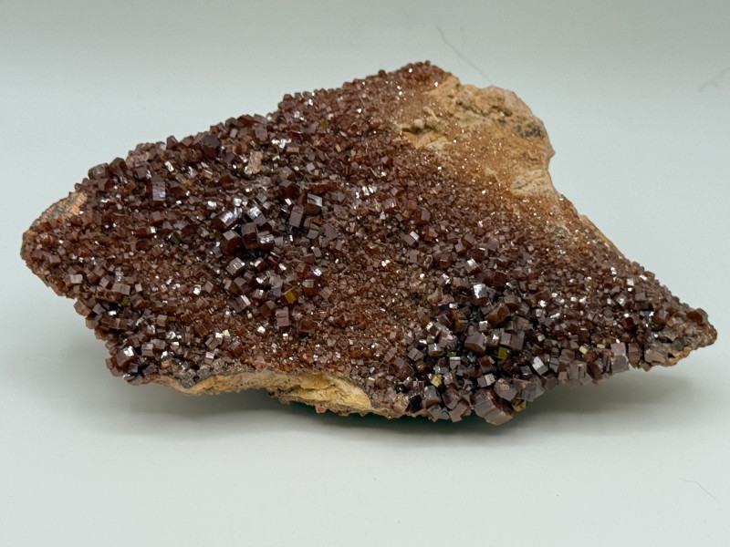 Placeholder