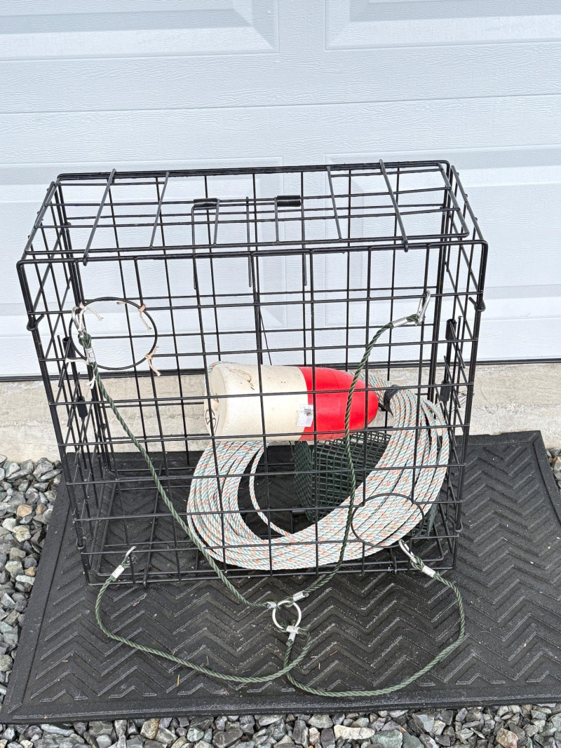 Placeholder