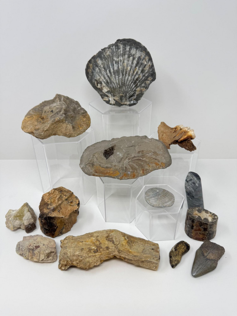 Placeholder