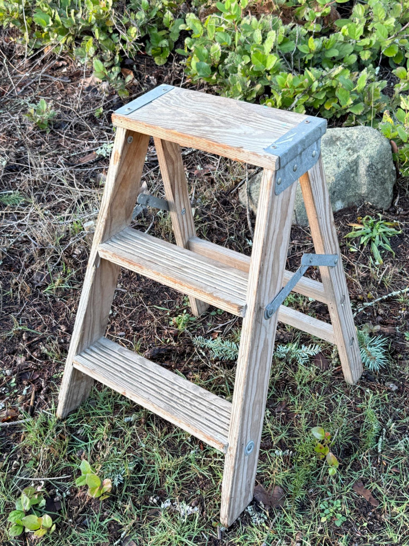 Placeholder