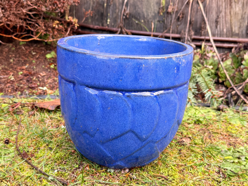 Placeholder