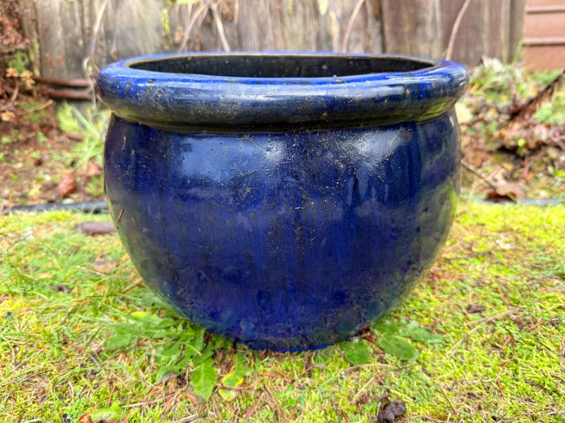 Placeholder