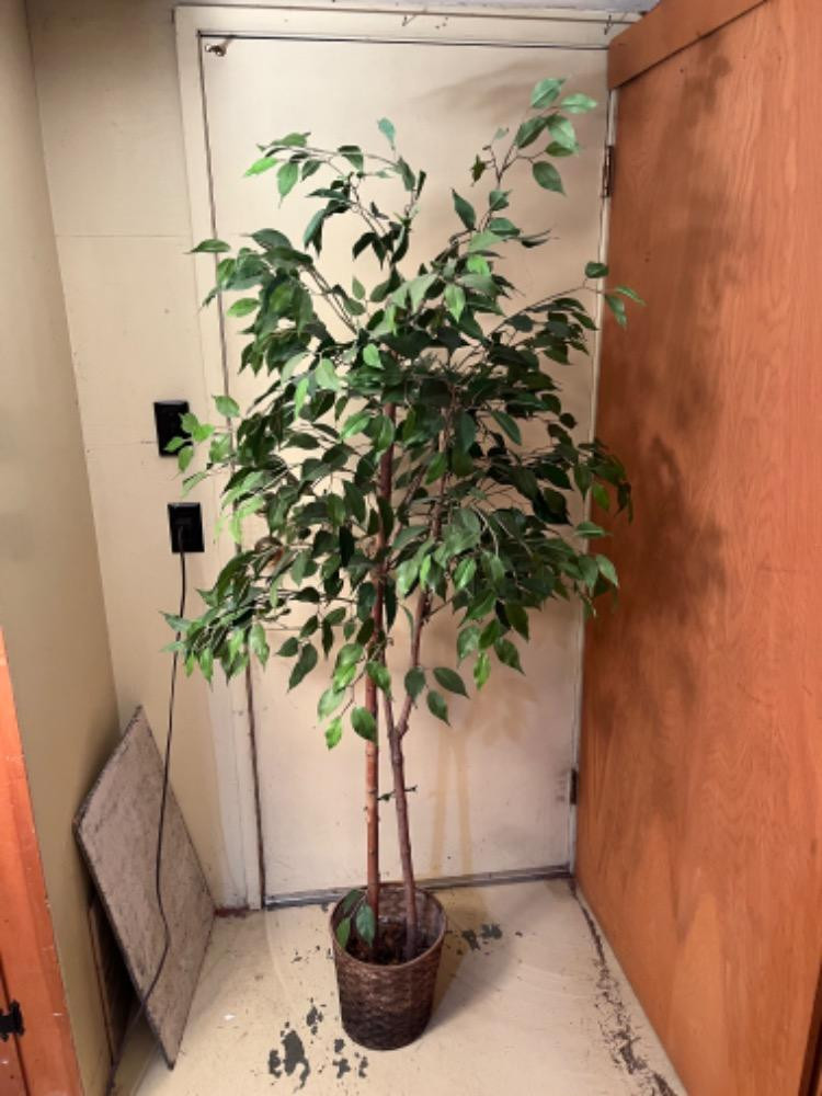 Placeholder