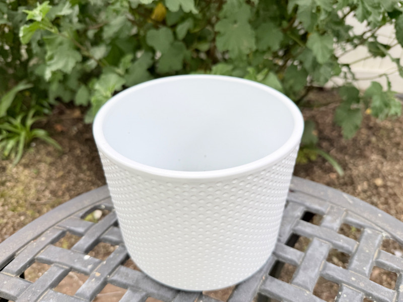 Placeholder
