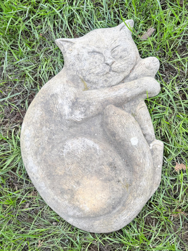 Placeholder