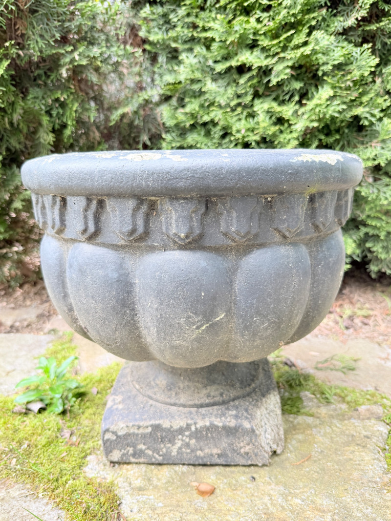Placeholder