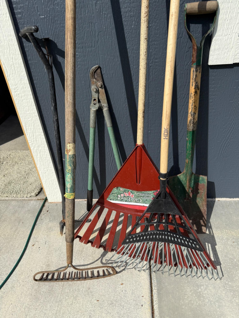 Placeholder