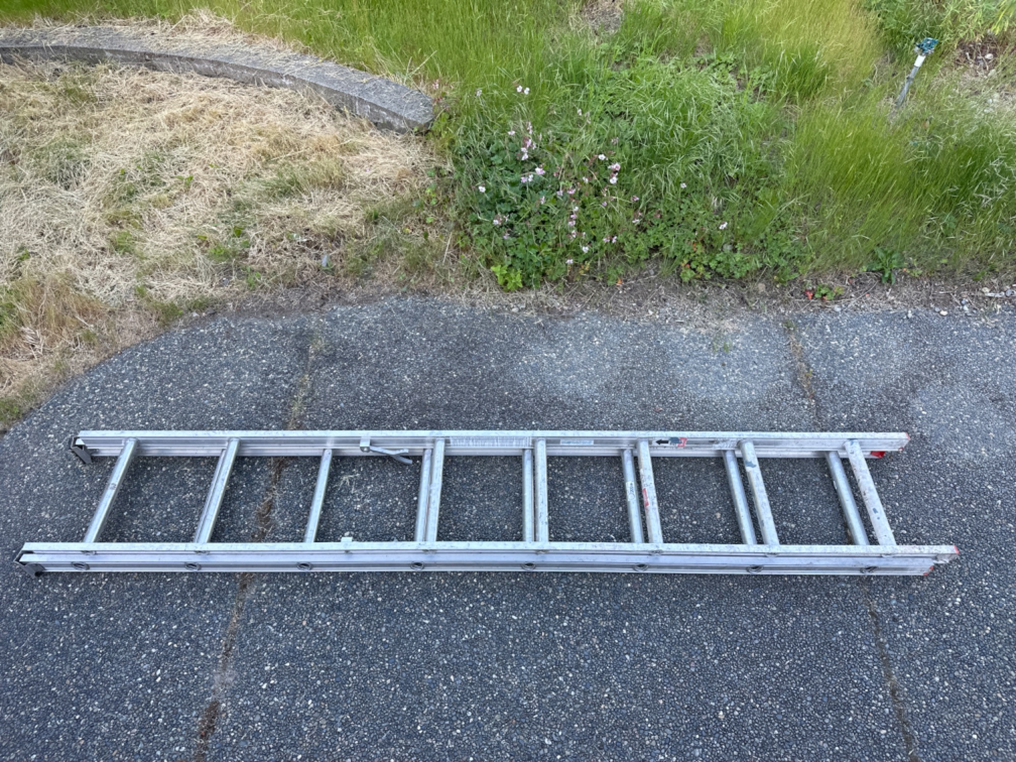 Placeholder