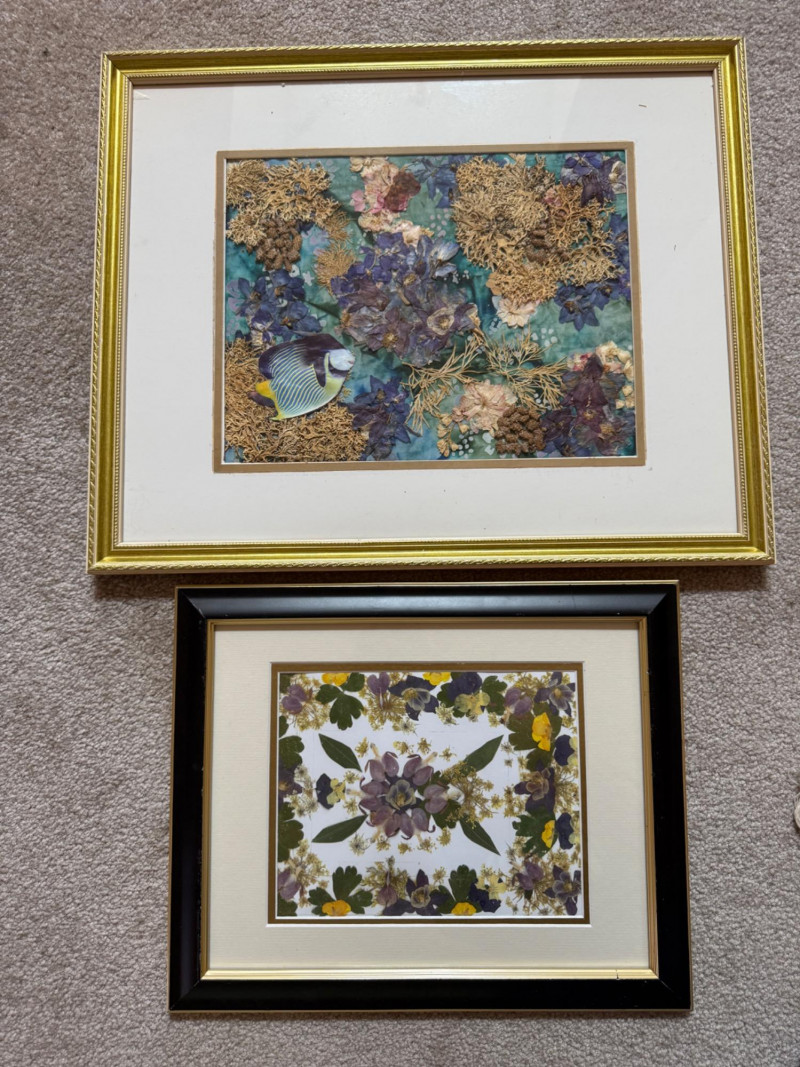 Placeholder