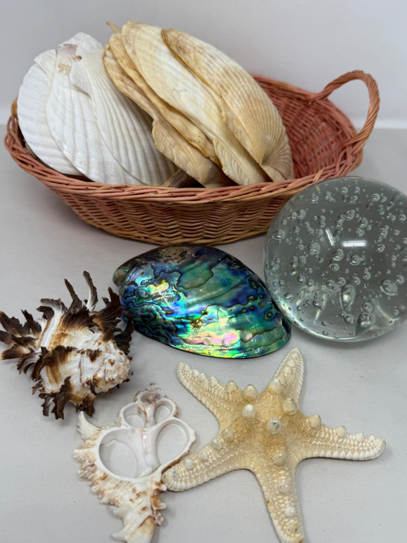 Placeholder