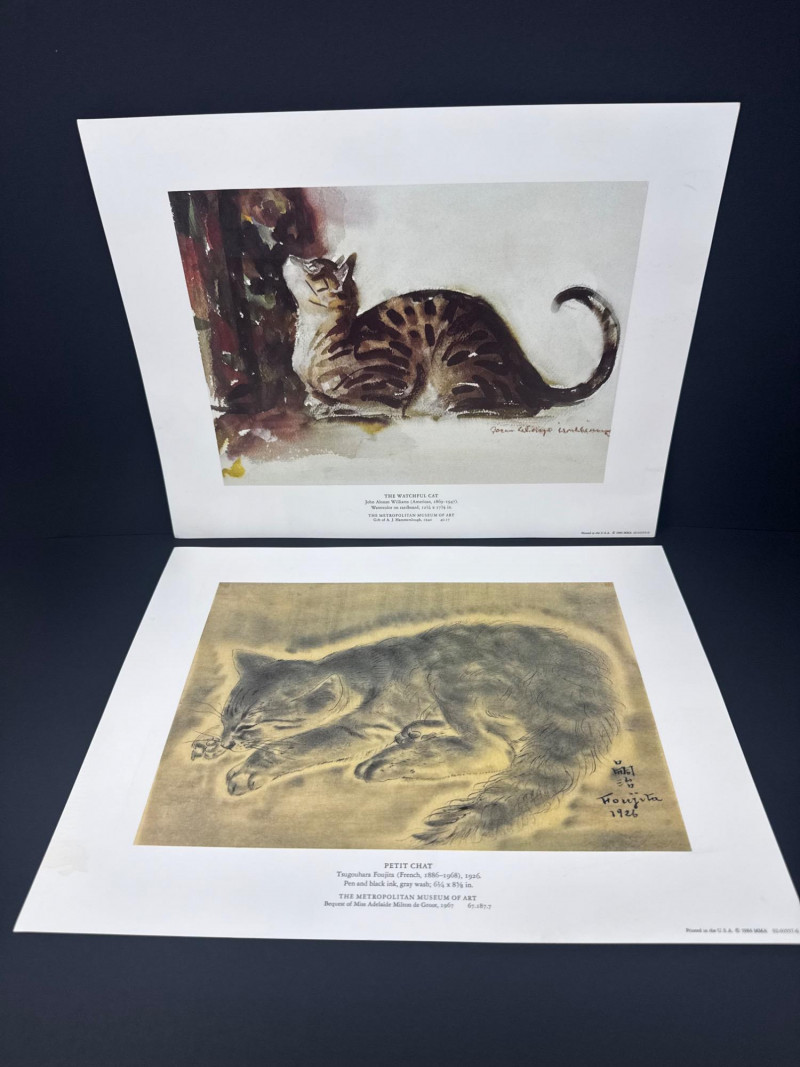 Placeholder