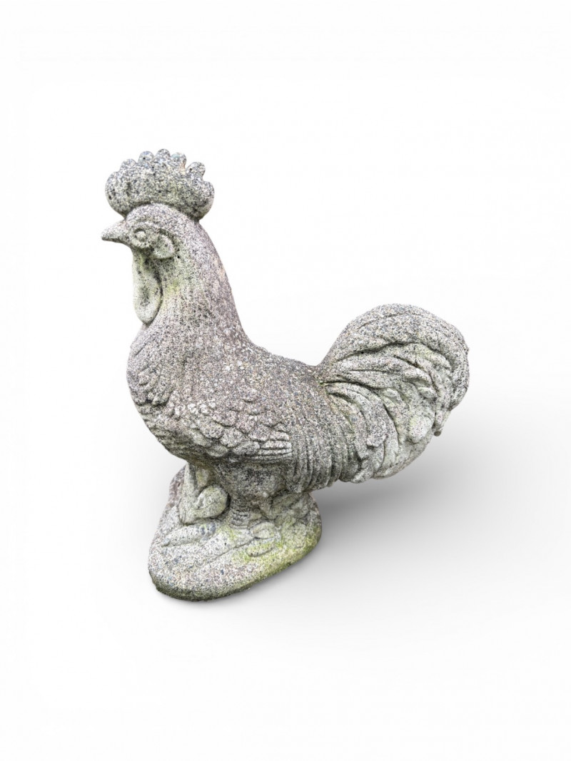 Placeholder