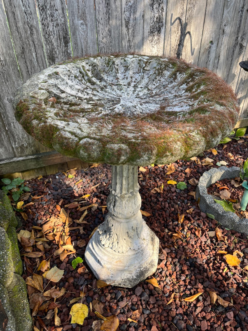 Placeholder