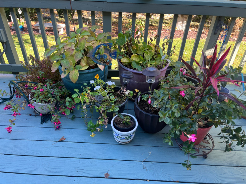Placeholder