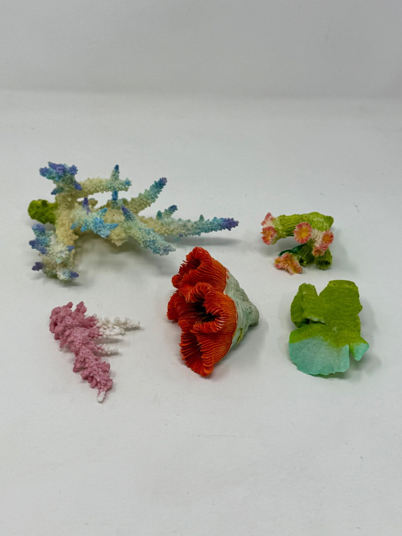 Placeholder