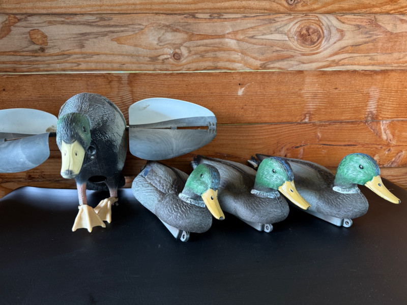 Placeholder