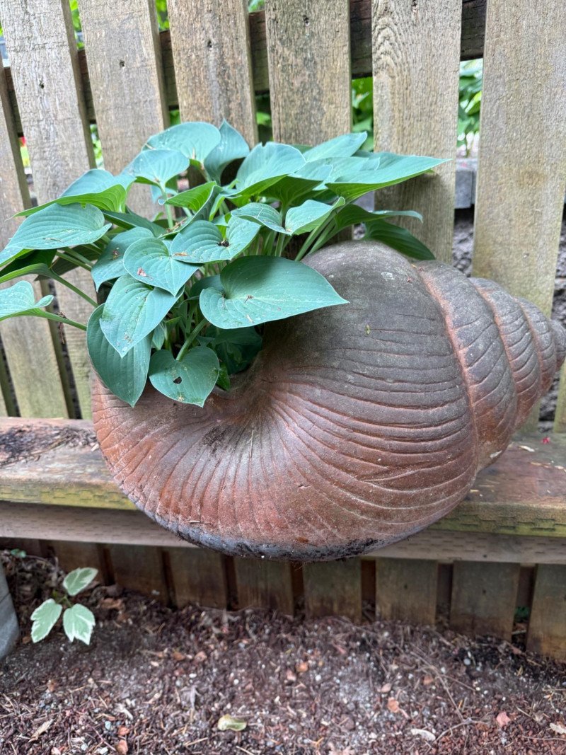 Placeholder
