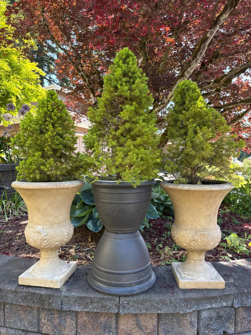 Placeholder