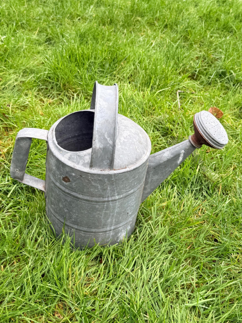 Placeholder