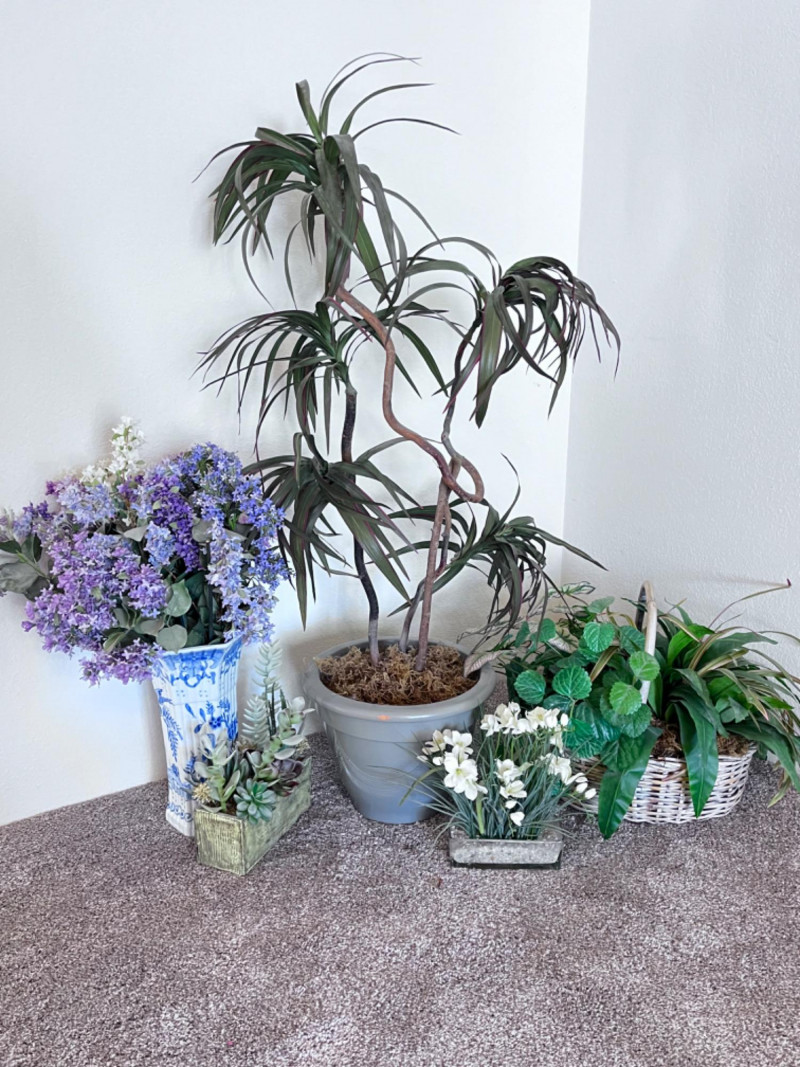 Placeholder
