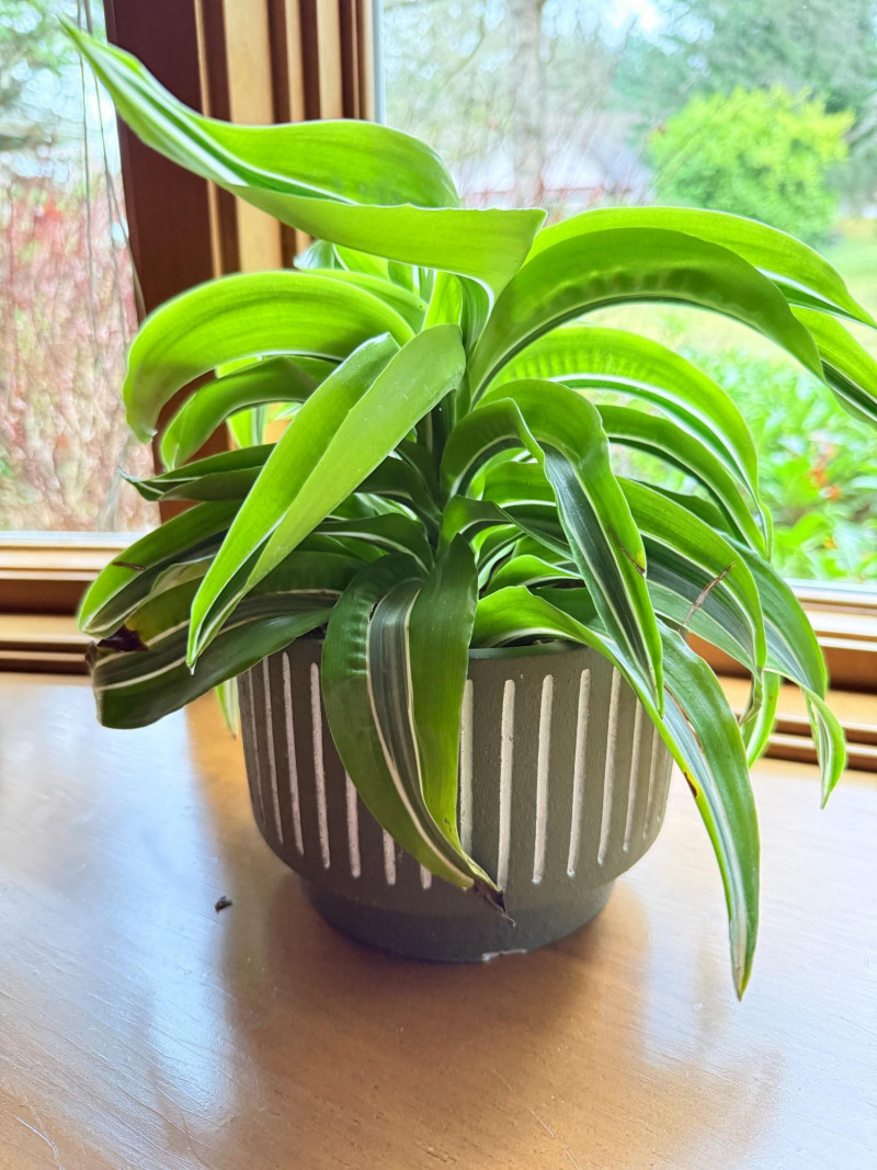 Placeholder