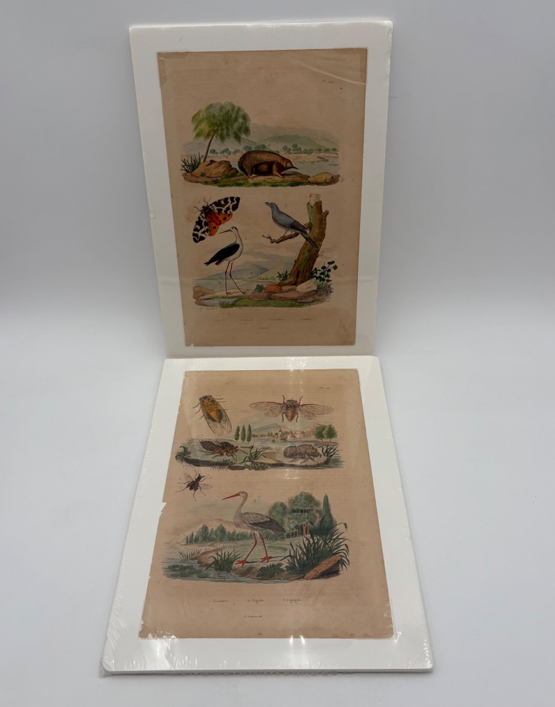 Placeholder