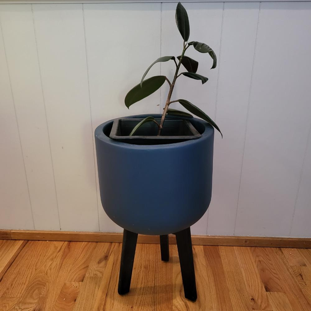 Placeholder