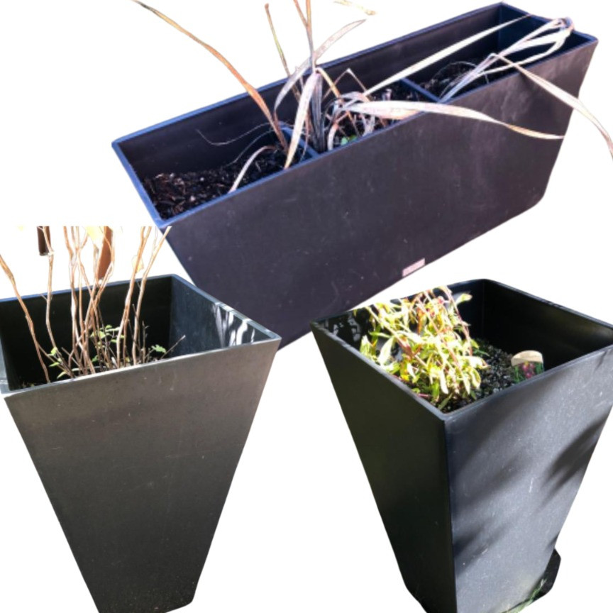 Placeholder