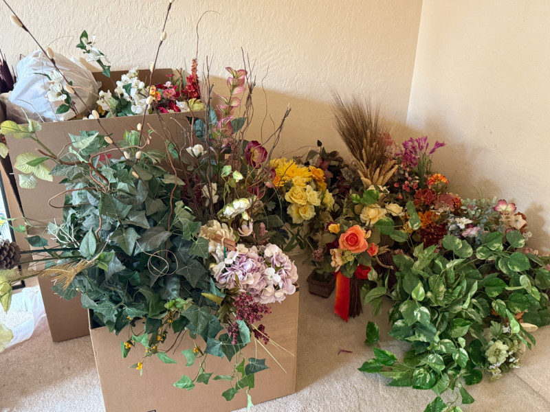 Placeholder