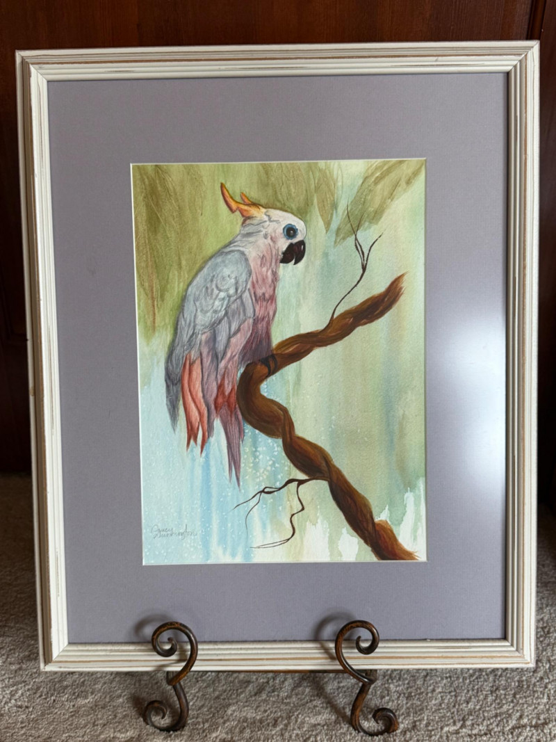 Placeholder