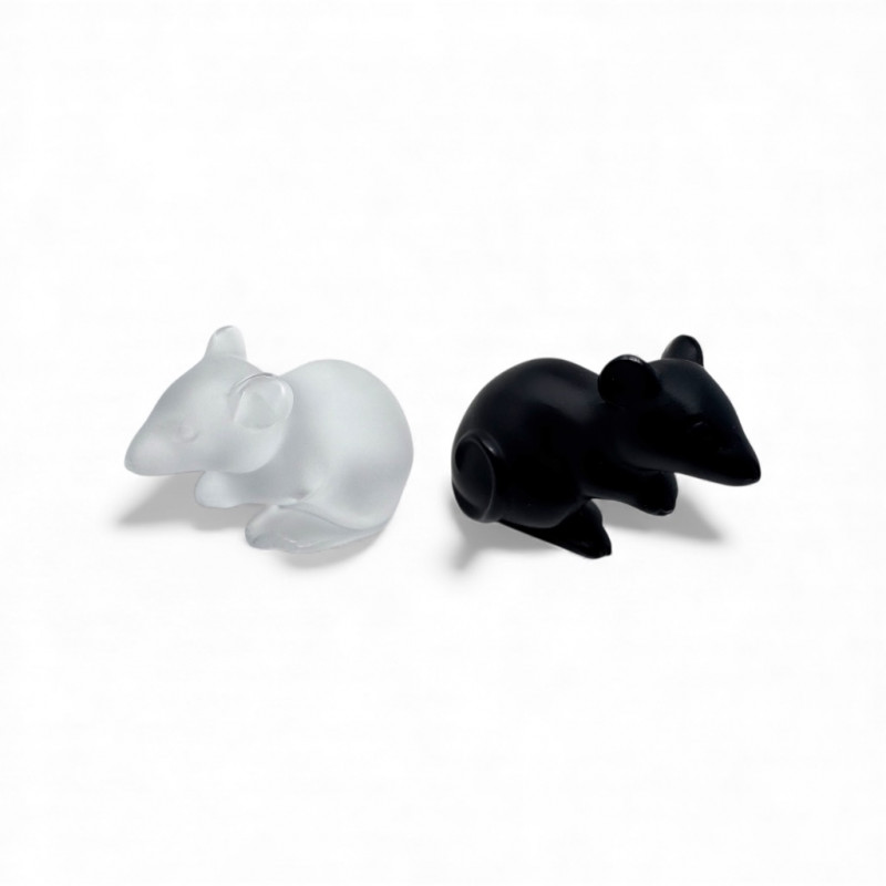 Placeholder