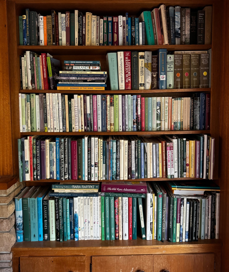 Placeholder