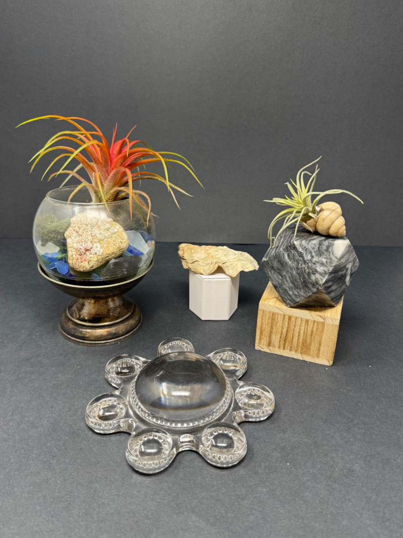 Placeholder