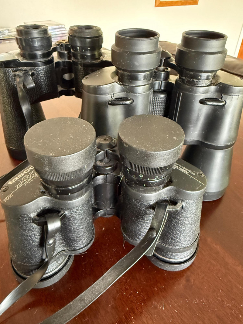 Placeholder