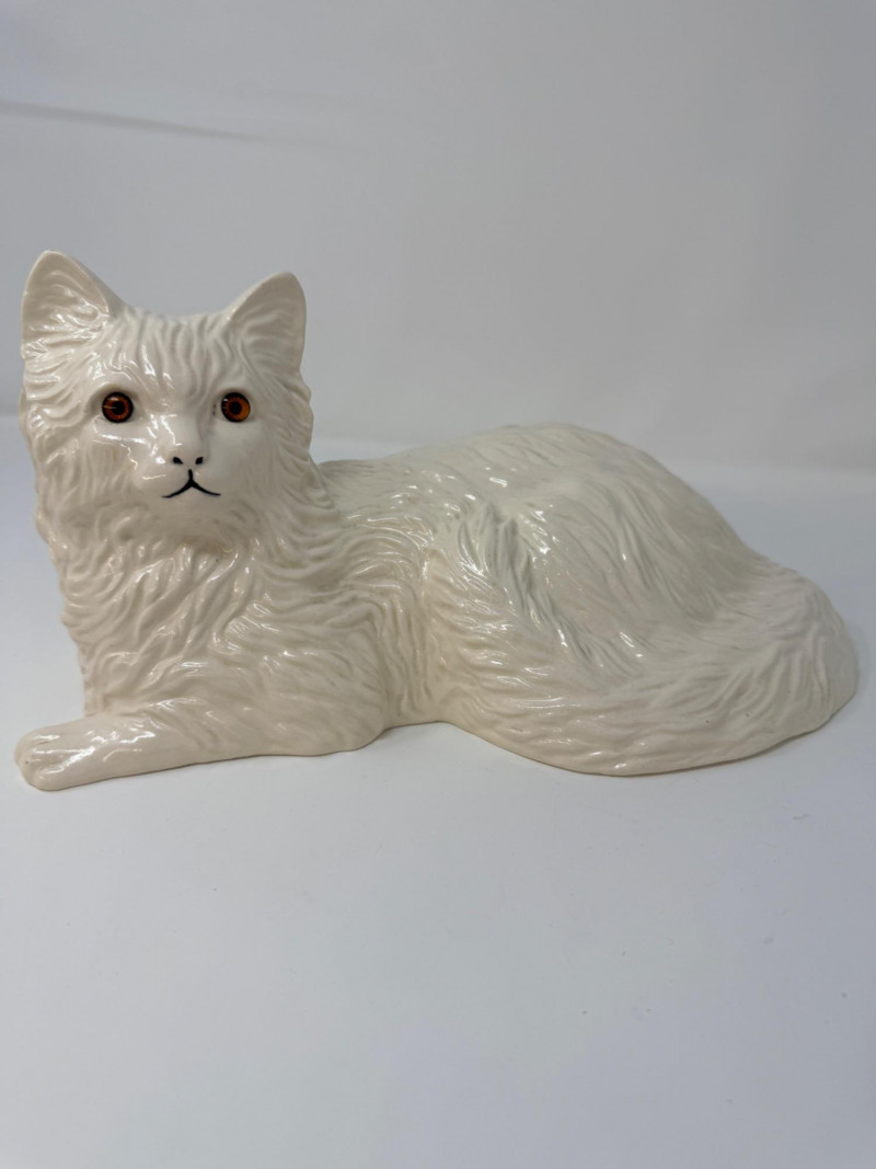 Placeholder