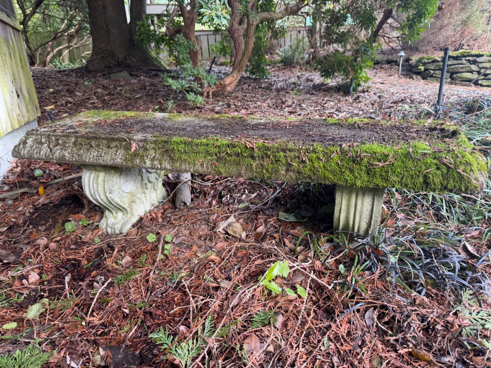 Placeholder