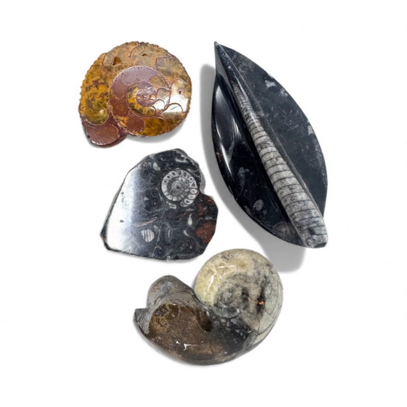 Placeholder