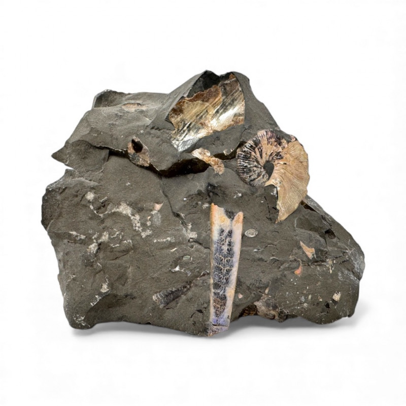 Placeholder