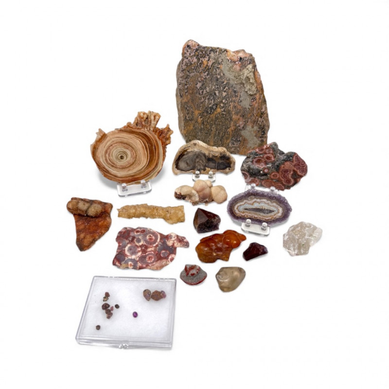 Placeholder